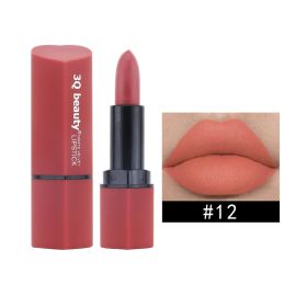 Fashion Student Party Multicolor Nude Lipstick (Option: Lipstick 12)