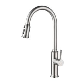 Single Handle Pull Down Kitchen Faucet with Dual Function Sprayhead (4: Arctic Stainless)