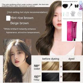 Ammonia-free Hair Color Paste Monochrome Paste Cover White Hair Multi-segment Color One-step Black Tea Gray Blue Black Hair Dye (Option: 672Mint Beige Brown-With tools)